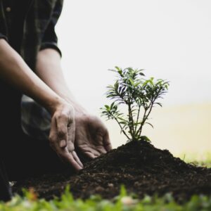 Técnico em Meio Ambiente