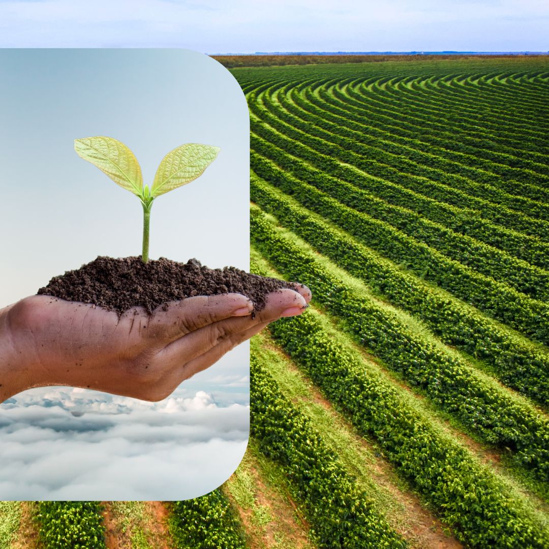 Técnico em Agronegócios