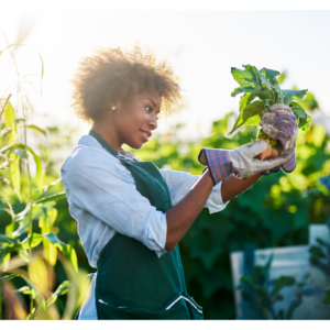 Agricultura e Sustentabilidade