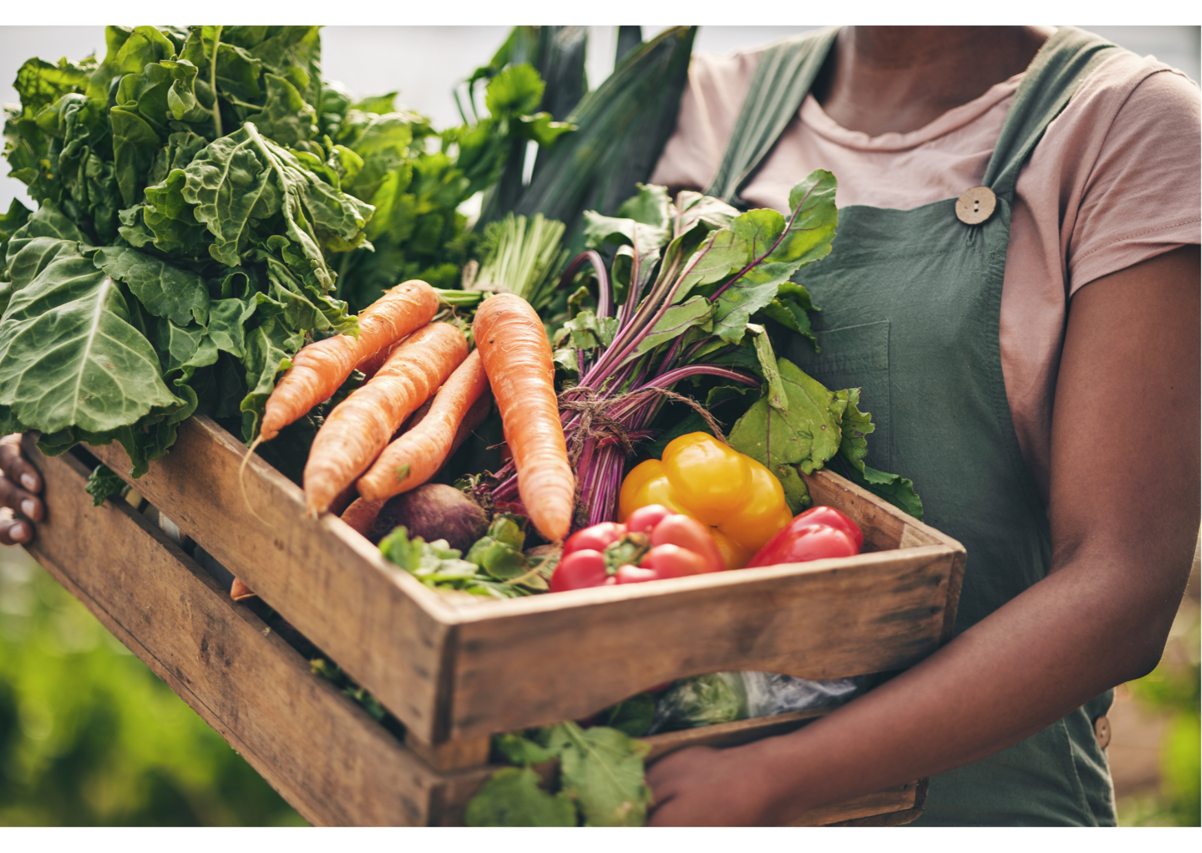 Agricultura e Sustentabilidade - Imagem 5