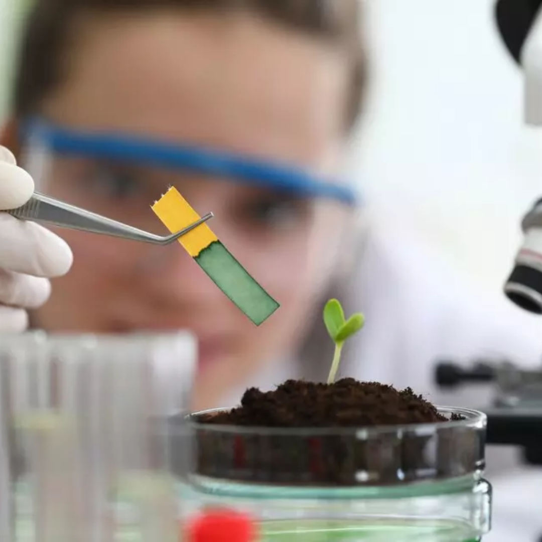 Ciências Biológicas