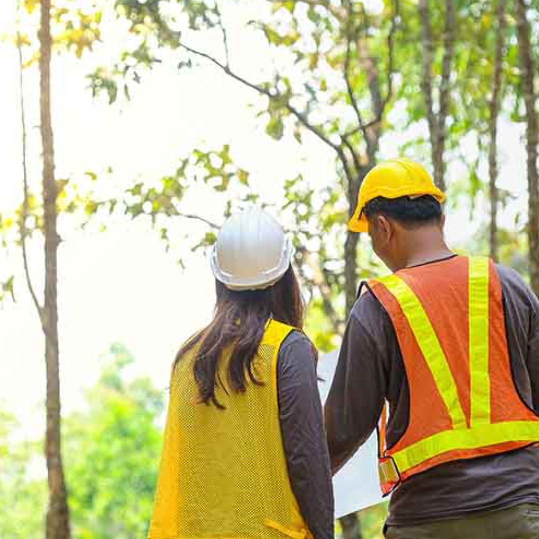 Certificação Ambiental e Consultoria
