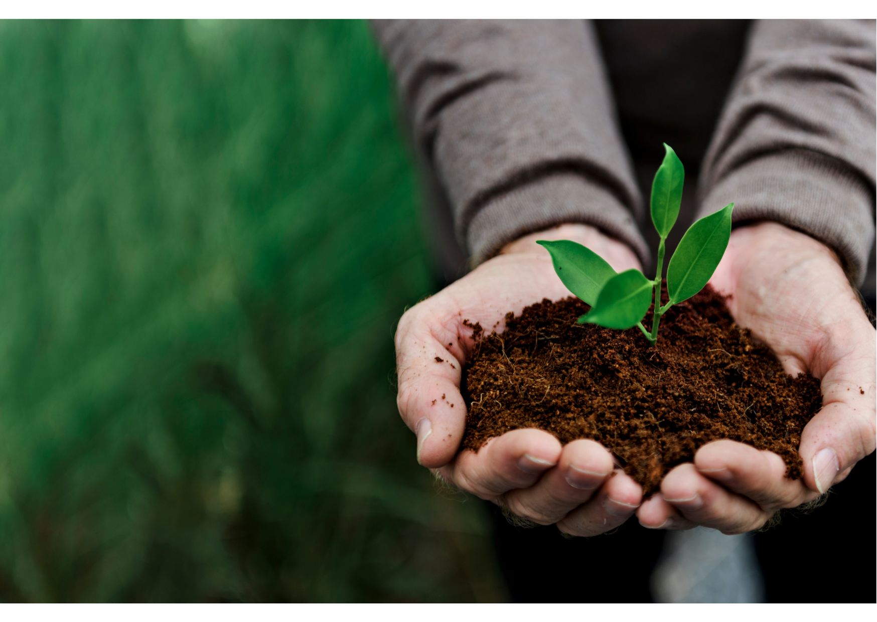 Agricultura e Sustentabilidade - Imagem 3