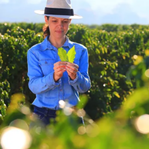 Agricultura e Agronegócio