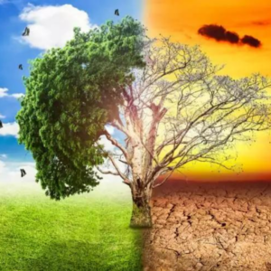 Agrometeorologia e Climatologia