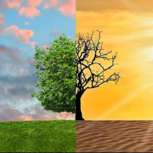 Meio Ambiente e Alterações Climáticas