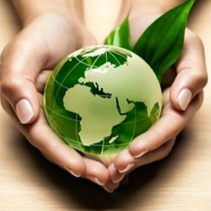 Gestão Ambiental e Sustentabilidade