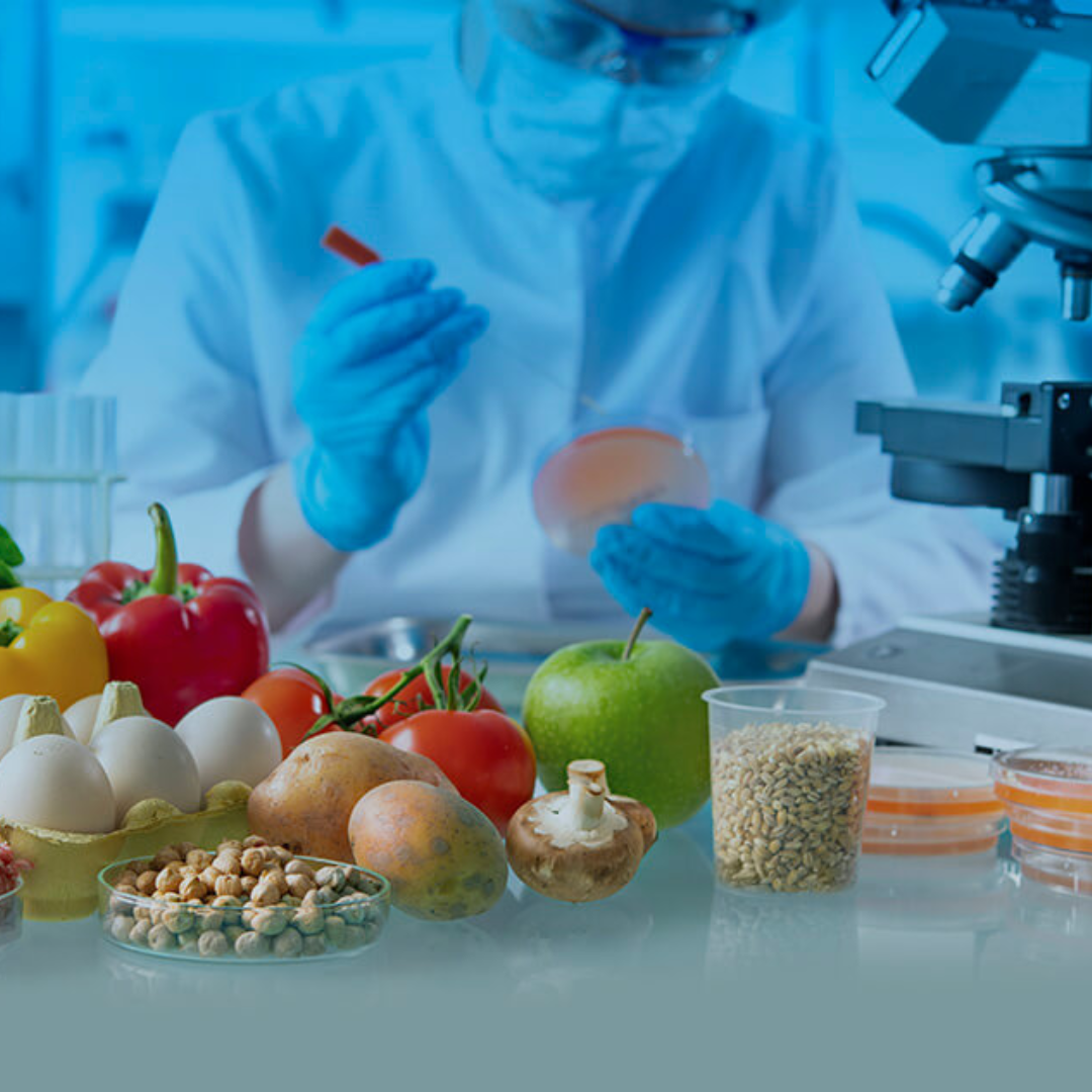 Controle de Qualidade e Segurança de Alimentos