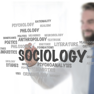 Segunda Licenciatura em Sociologia