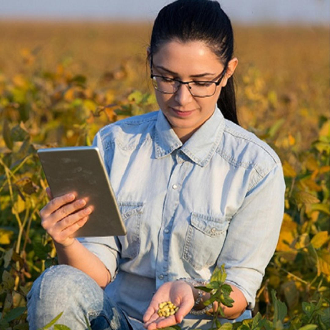 Gestão de Agronegócio