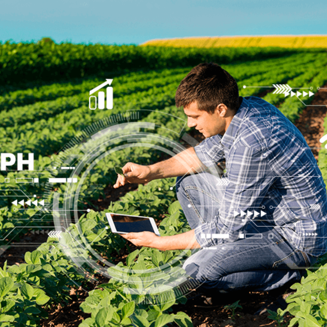 Agronegócio: Gestão e Contabilidade