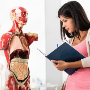 Anatomia e Patologias Associadas