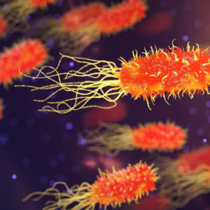 Imunologia e Microbiologia