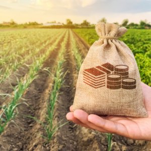 Gestão e Economia do Agronegócio