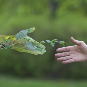 Gestão Ambiental