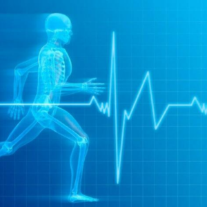 Fisiologia do Exercício