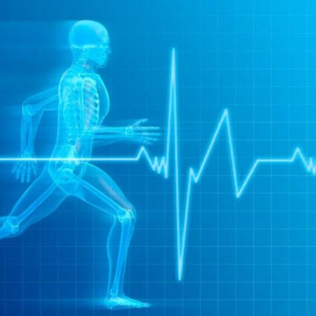 Fisiologia do Exercício