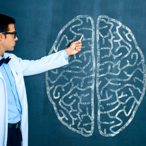 Neurociência na Educação