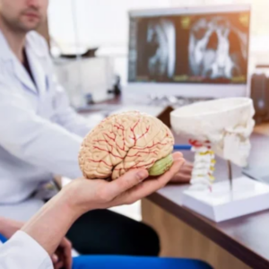 Neurociência, Aprendizagem e Toxicologia Neural