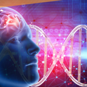 Neuropsicopedagogia